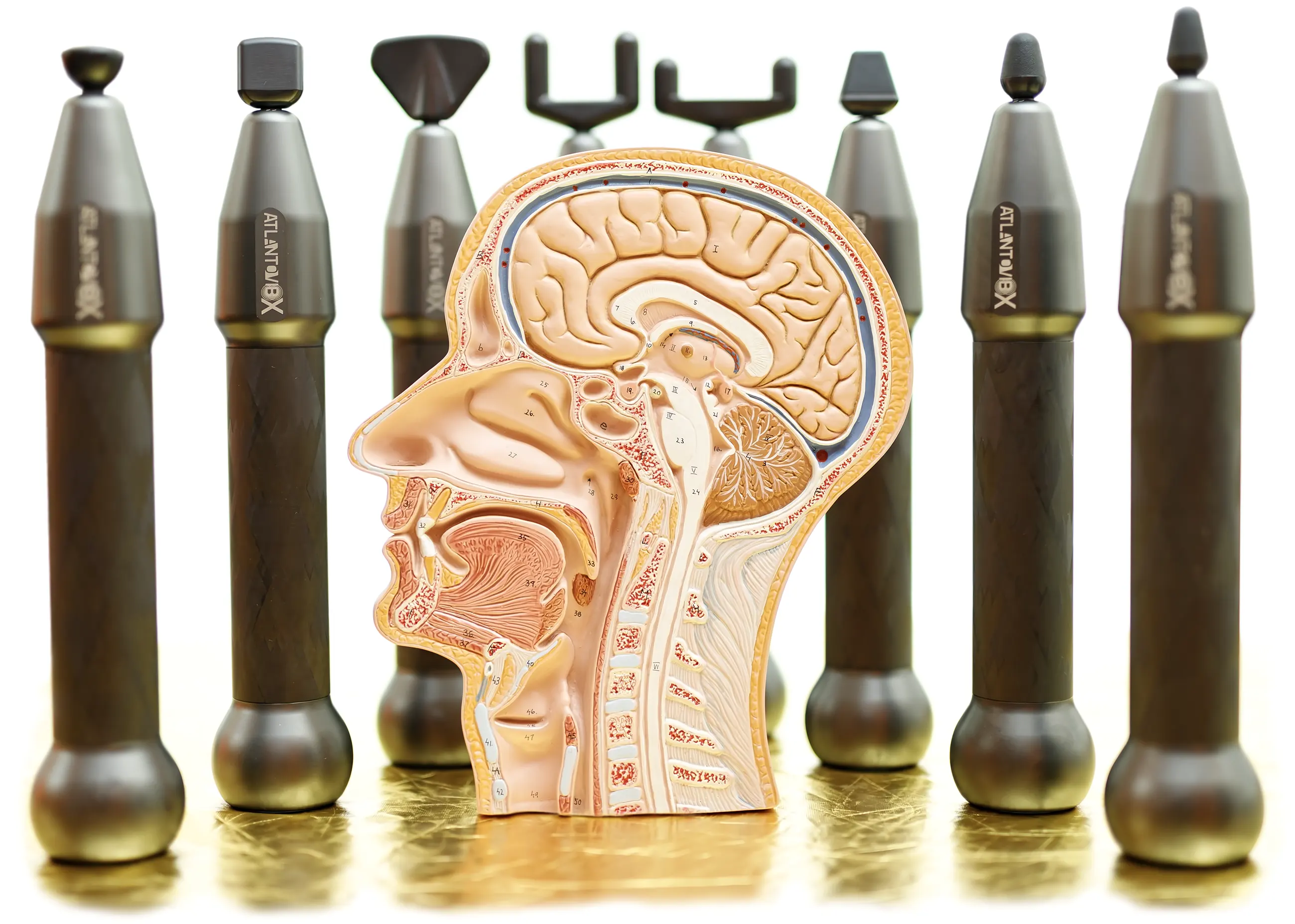 AtlantoVib device for Atlas correction, Atlas therapy and massage